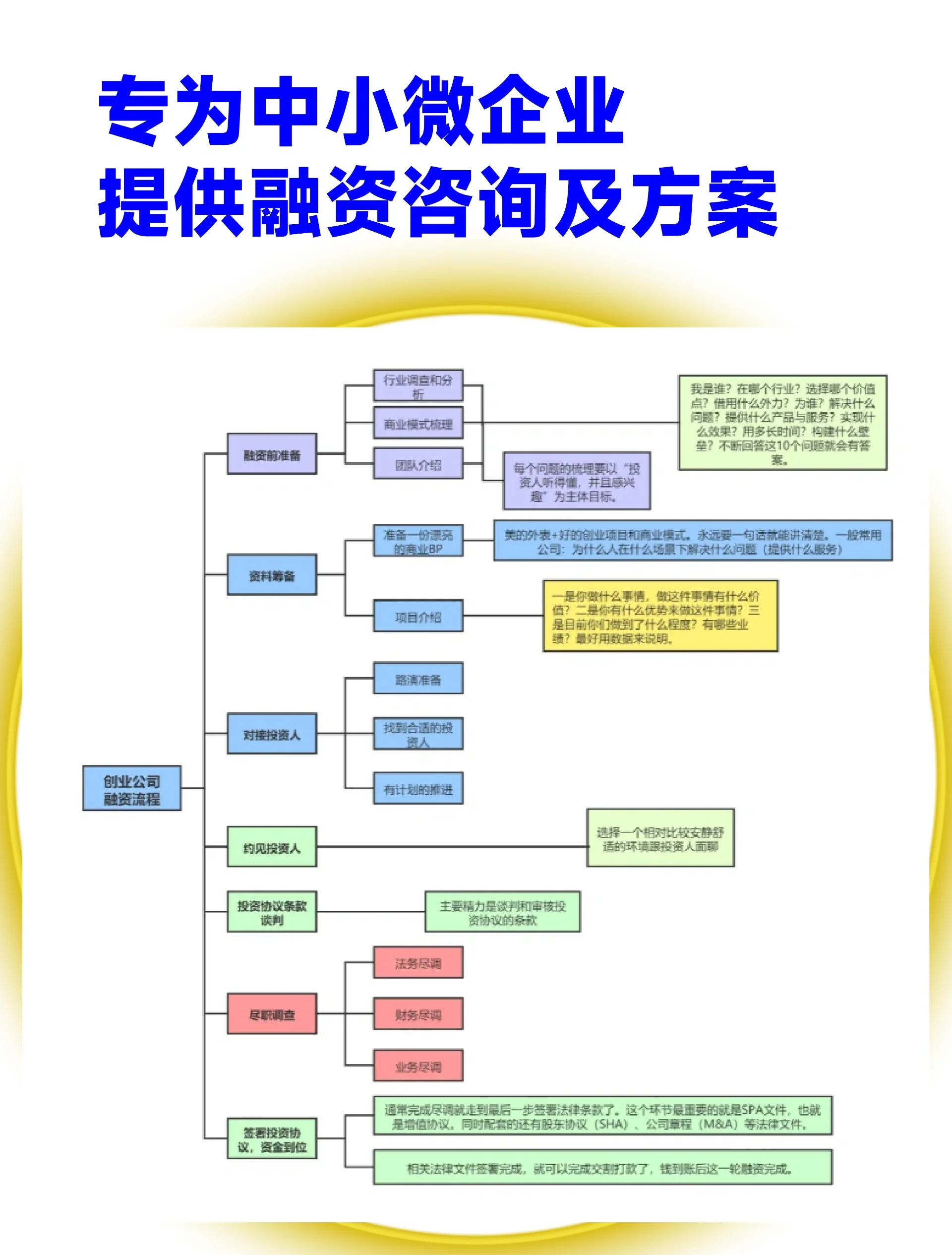 厦门市宠物企业资金管理(宠物管理机构叫什么)