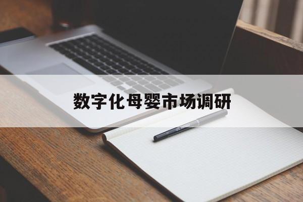厦门市数字化母婴市场调研(数字化母婴市场调研报告)